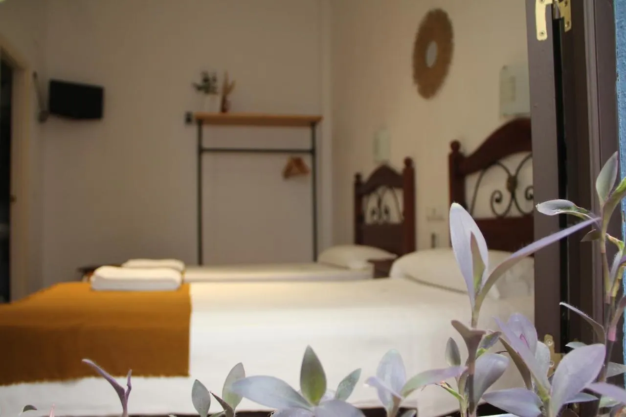 קורדובה La Piquera Hostal 0*,  ספרד